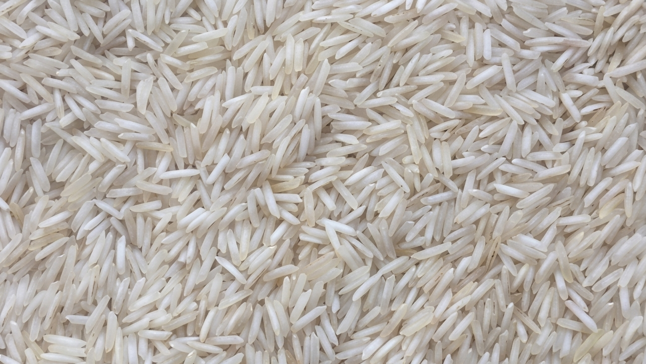 1509 Basmati Rice Long Grain Aromatic Bulk Export Indian Rice