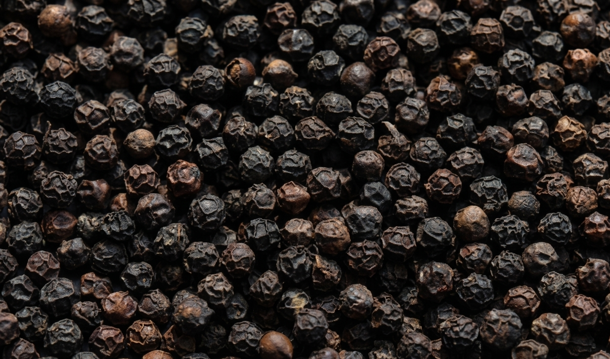 Black Pepper Malabar Tellicherry Kerala Indian Spice Export