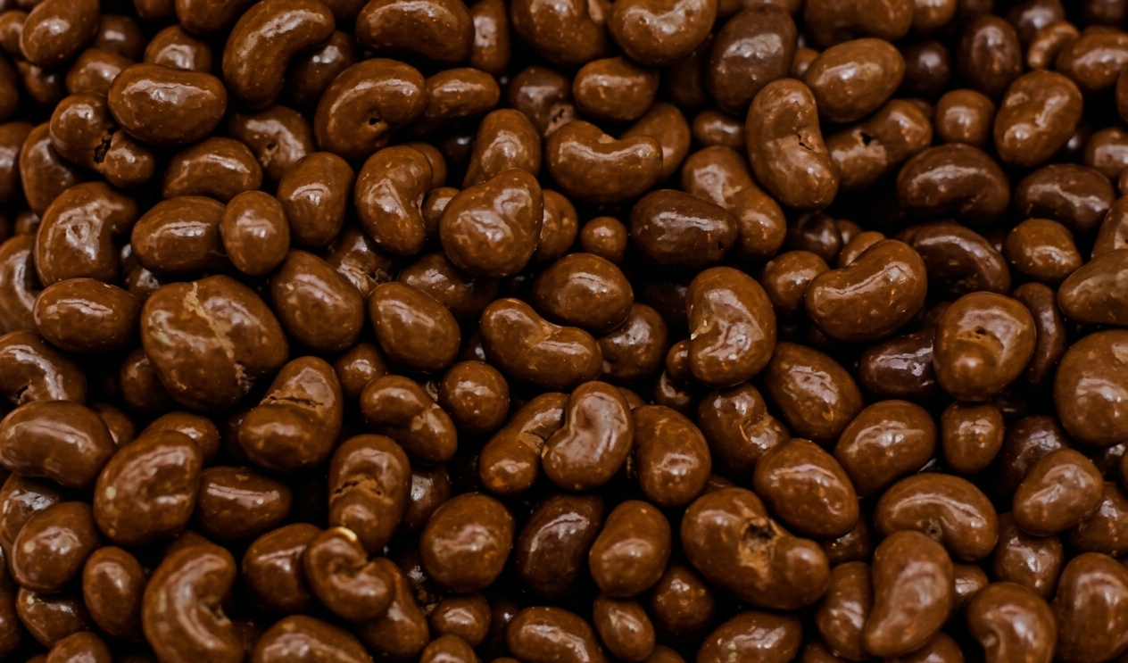 Chocolate enrobed premium cashew kernels for confectionery and retail — Goldenbird Overseas