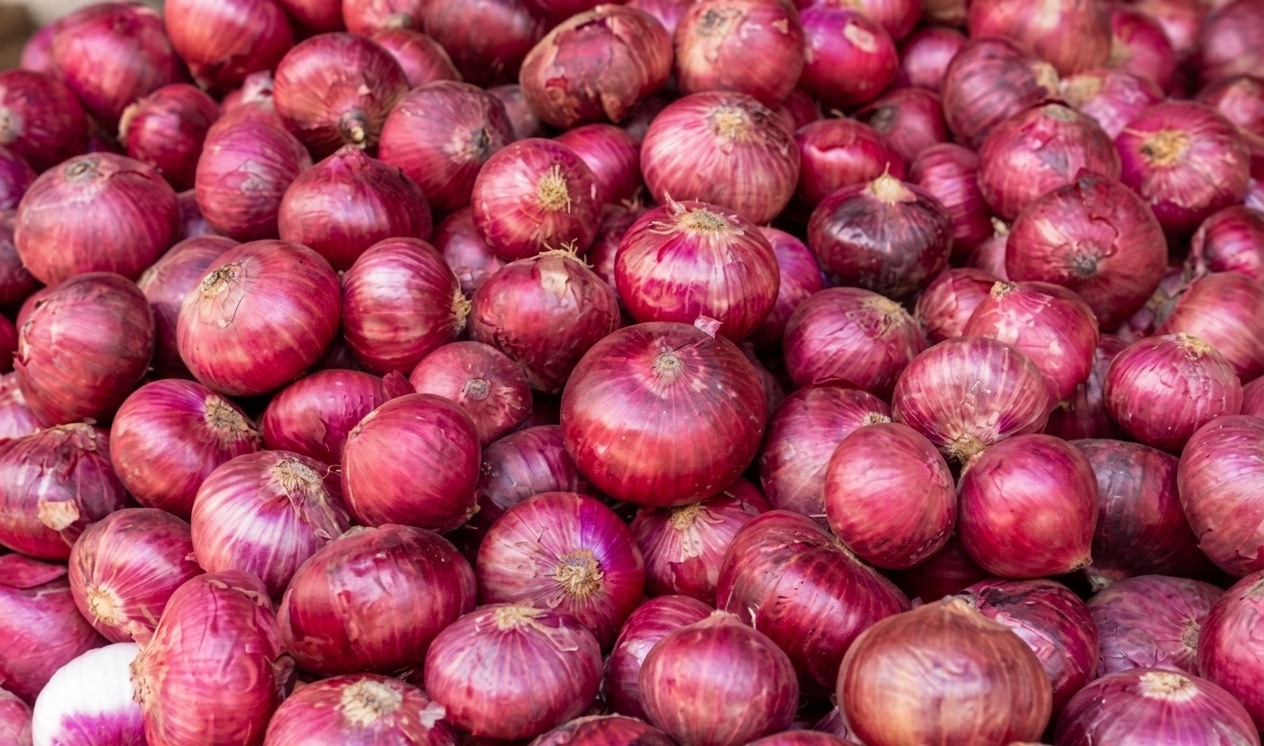 Fresh red, white and yellow onions sorted and graded for bulk export — Goldenbird Overseas