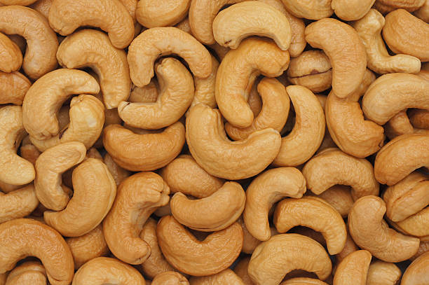 Golden roasted cashew nuts — oil roasted and dry roasted, ready to eat snack — Goldenbird Overseas