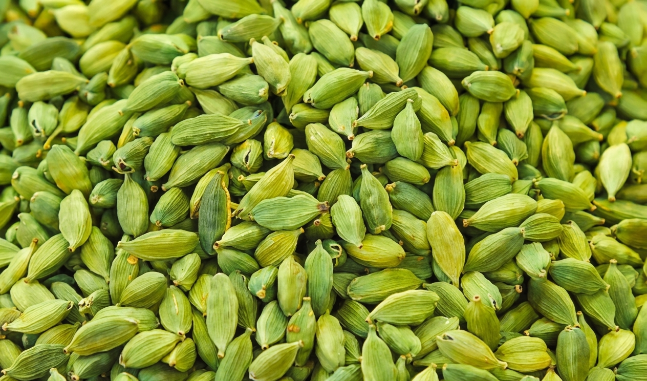 Green Cardamom Kerala Idukki Queen of Spices Indian Export