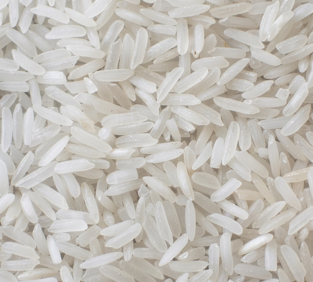 Non-Basmati Rice IR64 Ponni Kolam Everyday Bulk Export from India