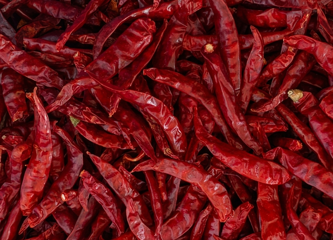 Red Chilli Guntur Sannam S4 Teja S17 Premium Indian Spice Export