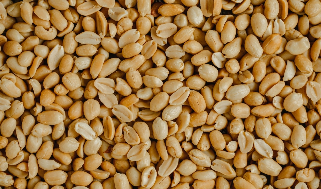 Crunchy roasted peanuts for snacking export - skin on and skinless whole and split varieties