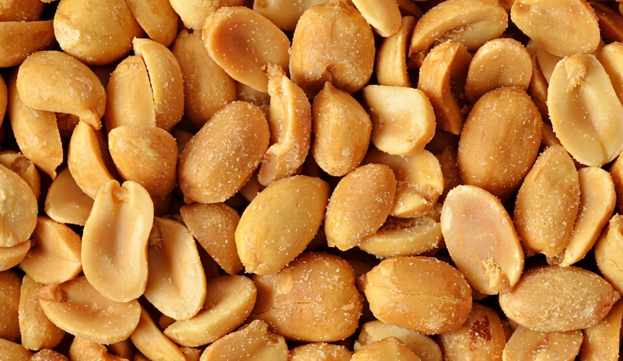 Lightly salted and classic salted peanuts for retail snack export - skin on and skinless options